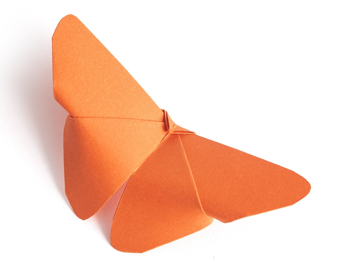 origami paper folding butterfly