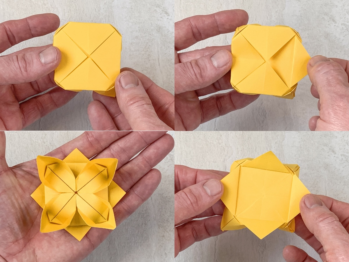 flip over and pull the petals out on the bottom