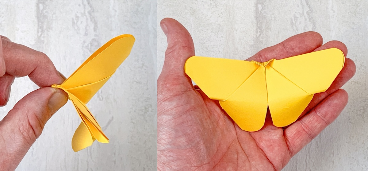 fold slightly in half to make a butterfly