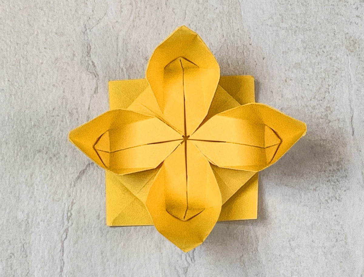 lotus paper folding